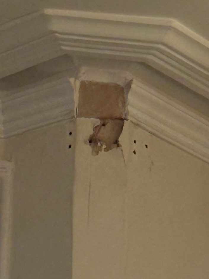 Coving & Plaster&nbsp;Repair